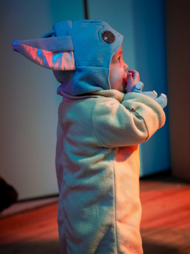 lazy_placeholder Fotos 2024