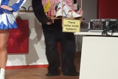 lazy_placeholder Fotos 2020