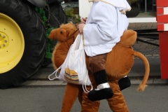 lazy_placeholder Fotos 2019