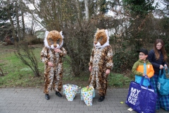 lazy_placeholder Fotos 2019