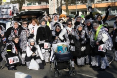 lazy_placeholder Fotos 2018